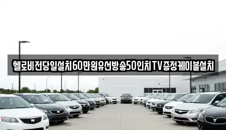 전남 순천시 덕월동 중고차매입 전문 헬로비전당일설치60만원유선방송50인치TV증정케이블설치