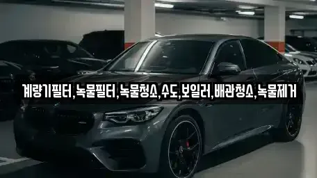 전남 순천시 삼거동 렌트카 전문 계량기필터,녹물필터,녹물청소,수도,보일러,배관청소,녹물제거