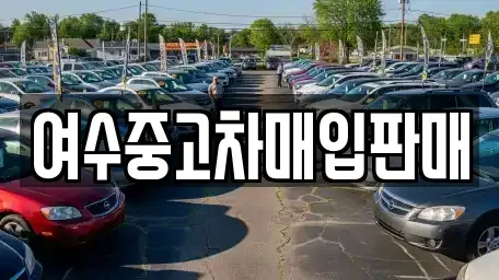 전남 여수시 만흥동 중고차매입 전문 여수중고차매입판매