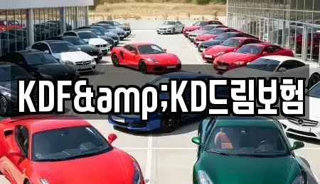 전남 여수시 문수동 렌트카 전문 KDF&KD드림보험