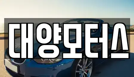 전남 여수시 화양면 중고차매매 전문 대양모터스