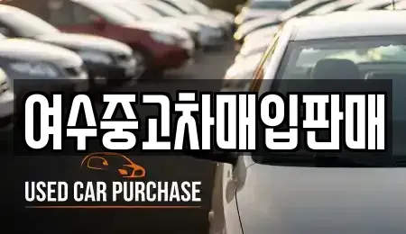전남 여수시 화양면 중고차매매,단기렌트카,중고차매입,장기렌트카,중고차,렌트카