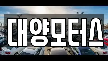 전남 여수시 화장동 중고차매매 전문 대양모터스