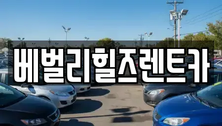 전남 영암군 렌트카 전문 베벌리힐즈렌트카