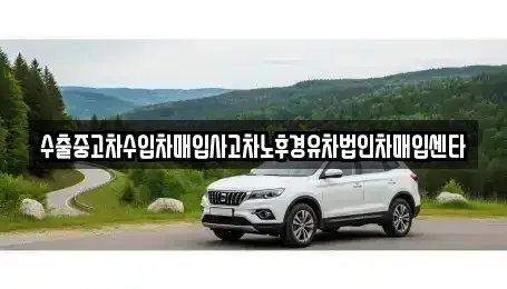 전남 영암군 중고차매입 전문 수출중고차수입차매입사고차노후경유차법인차매입센타