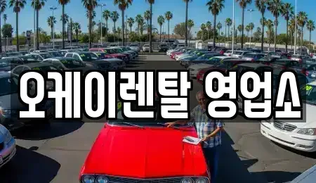 전남 장흥군 렌트카 전문 오케이렌탈 영업소