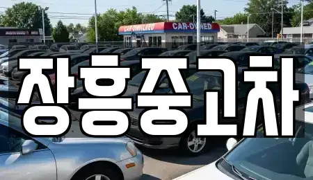 전남 장흥군 중고차매매 전문 장흥중고차