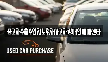 전남 장흥군 중고차매입 전문 중고차수출수입차노후차사고차량매입매매센타