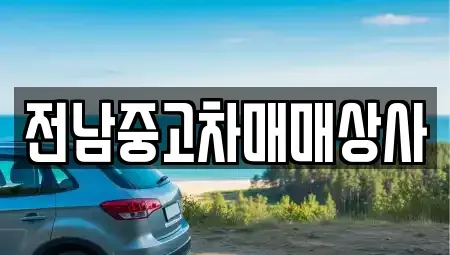 전남 함평군 손불면 중고차 전문 전남중고차매매상사