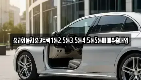 전남 함평군 손불면 렌트카,단기렌트카,장기렌트카,중고차,중고차매매,중고차매입