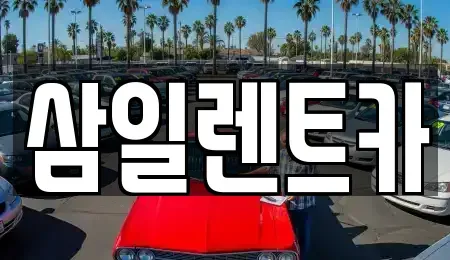 전남 해남군 삼산면 렌트카 전문 삼일렌트카