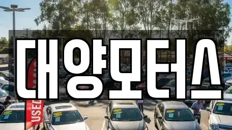 전라남도 나주시 노안면 중고차 전문 대양모터스