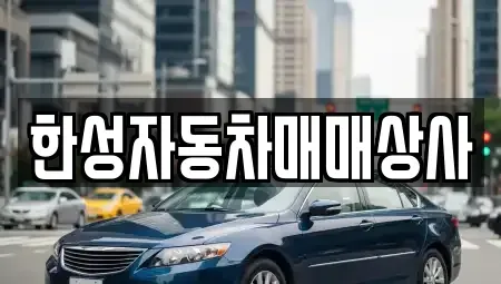 전라남도 나주시 노안면 중고차 전문 한성자동차매매상사