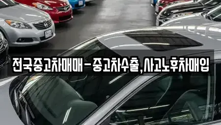 전라남도 나주시 노안면 중고차매입 전문 전국중고차매매-중고차수출,사고노후차매입