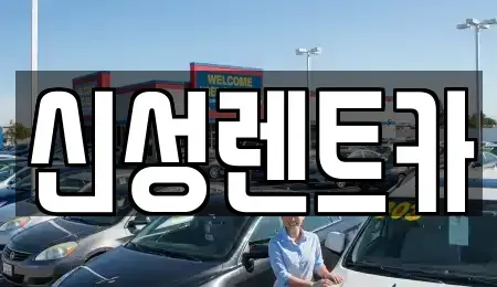 전라남도 나주시 다도면 렌트카 전문 신성렌트카