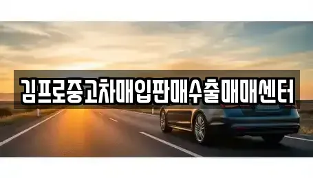 전라남도 신안군 중고차 전문 김프로중고차매입판매수출매매센터