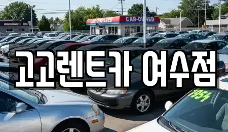 전라남도 여수시 공화동 렌트카 전문 고고렌트카 여수점