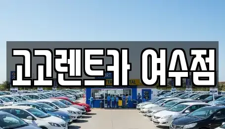 전라남도 여수시 렌트카 전문 고고렌트카 여수점