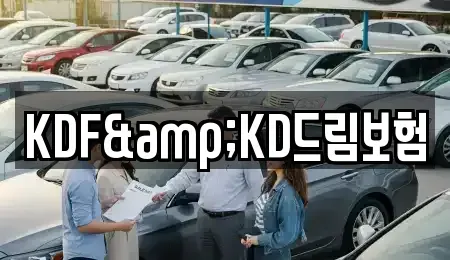 전라남도 여수시 신기동 렌트카 전문 KDF&KD드림보험
