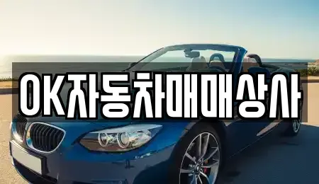 전라남도 여수시 신기동 중고차 전문 OK자동차매매상사
