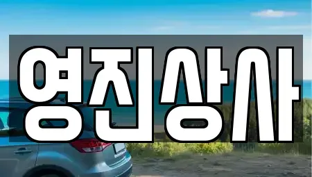 전라남도 여수시 신기동 중고차 전문 영진상사
