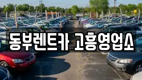 전라남도 여수시 장기렌트카 전문 동부렌트카 고흥영업소