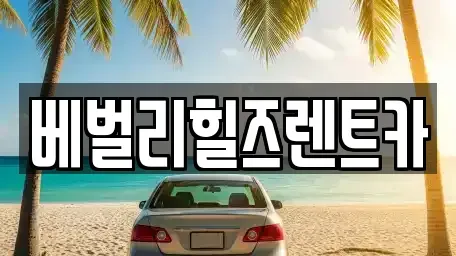 전라남도 영암군 삼호읍 렌트카 전문 베벌리힐즈렌트카