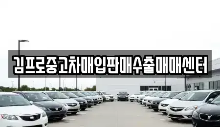 전라남도 장성군 서삼면 중고차매매 전문 김프로중고차매입판매수출매매센터