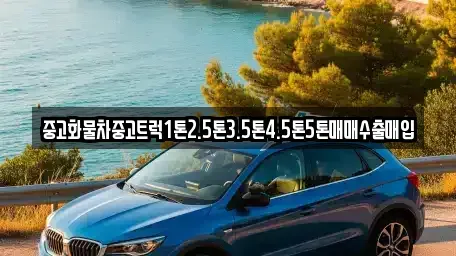 전라남도 장성군 진원면 중고차 전문 중고화물차중고트럭1톤2.5톤3.5톤4.5톤5톤매매수출매입