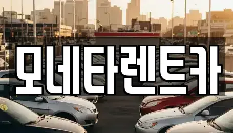 전라남도 진도군 렌트카 전문 모네타렌트카
