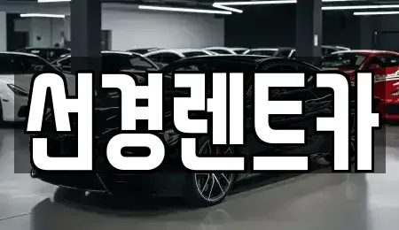 전라남도 진도군 렌트카 전문 선경렌트카