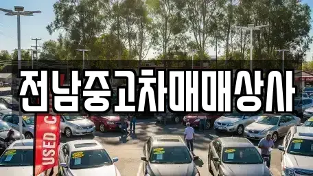 전라남도 진도군 중고차매매,단기렌트카,중고차매입,장기렌트카,중고차,렌트카
