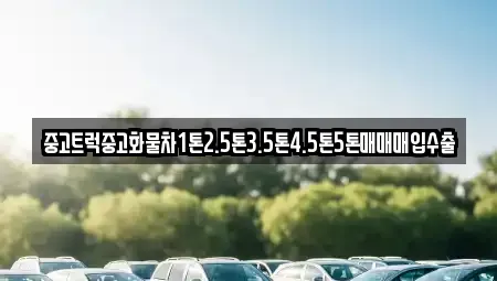 전라남도 함평군 나산면 단기렌트카,중고차매입,중고차매매,중고차,렌트카,장기렌트카