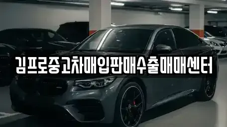 전북 군산시 미룡동 중고차 전문 김프로중고차매입판매수출매매센터
