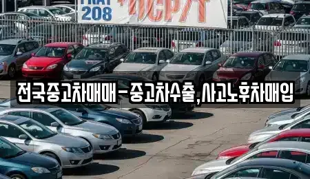 전북 군산시 해망동 중고차매입 전문 전국중고차매매-중고차수출,사고노후차매입