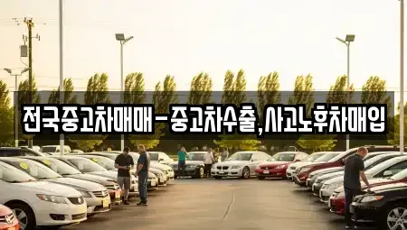 전북 남원시 금동 중고차매입 전문 전국중고차매매-중고차수출,사고노후차매입