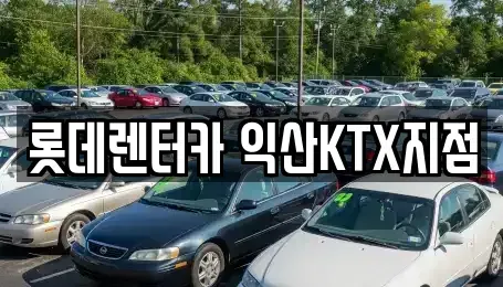 전북 익산시 남중동 렌트카 전문 롯데렌터카 익산KTX지점
