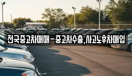전북 전주시 덕진구 도도동 중고차 전문 전국중고차매매-중고차수출,사고노후차매입