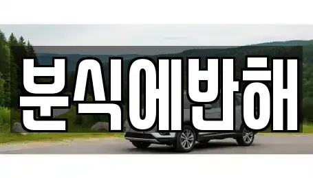 전북 전주시 덕진구 도도동 중고차매입 전문 분식에반해