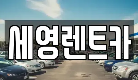 전북 전주시 덕진구 여의동2가 렌트카 전문 세영렌트카