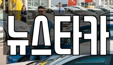 전북 전주시 덕진구 여의동2가 중고차 전문 뉴스타카