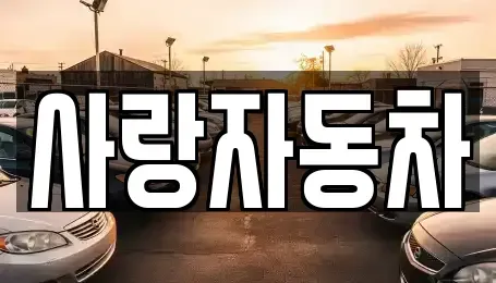 전북 전주시 덕진구 전미동1가 중고차매매 전문 사랑자동차