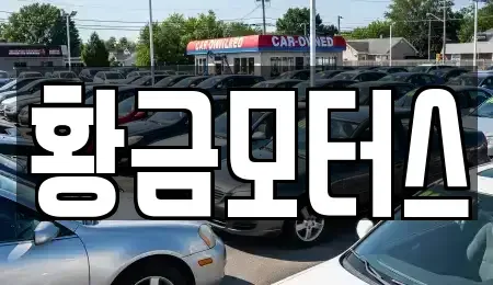 전북 전주시 덕진구 전미동1가 중고차매매 전문 황금모터스
