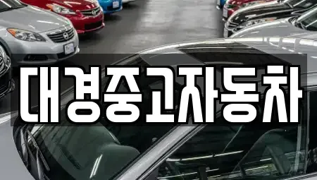 전북 전주시 덕진구 팔복동4가 중고차매매 전문 대경중고자동차