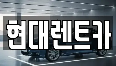 전북 전주시 덕진구 호성동1가 렌트카 전문 현대렌트카