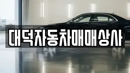 전북 전주시 덕진구 호성동1가 중고차 전문 대덕자동차매매상사