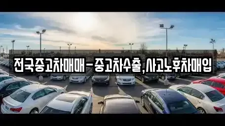 전북 전주시 완산구 동완산동 중고차매입 전문 전국중고차매매-중고차수출,사고노후차매입