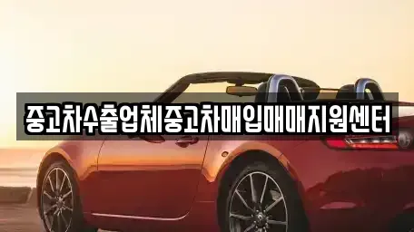 전북 정읍시 장명동 중고차매입 전문 중고차수출업체중고차매입매매지원센터