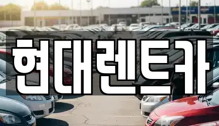 전북특별자치도 군산시 사정동 렌트카 전문 현대렌트카