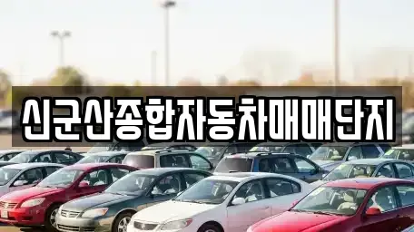 전북특별자치도 군산시 사정동 중고차매매 전문 신군산종합자동차매매단지